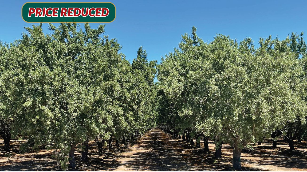 Kern County Almonds Ranch 404A, Kern County, CA 93518