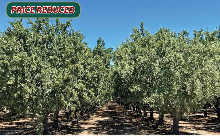 Pictures of Land property located at Kern County Almonds- Ranch 404A, Kern County, CA 93518 for sales - image #1