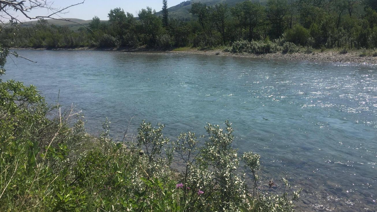 Ukn Camp Nine Road, Babb, MT 59411 Land for Sale Ukn Camp Nine Road