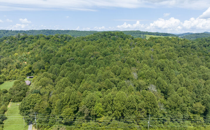 Pictures of Land property located at Meadow View Rd, Bristol, TN 37620 for sales - image #1