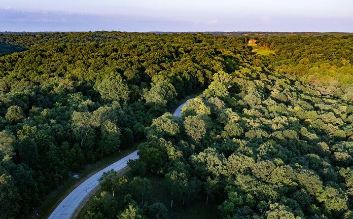 Pictures of Land property located at Lot 16 Hanging Branch Ridge, Cape Fair, MO 65624 for sales - image #1