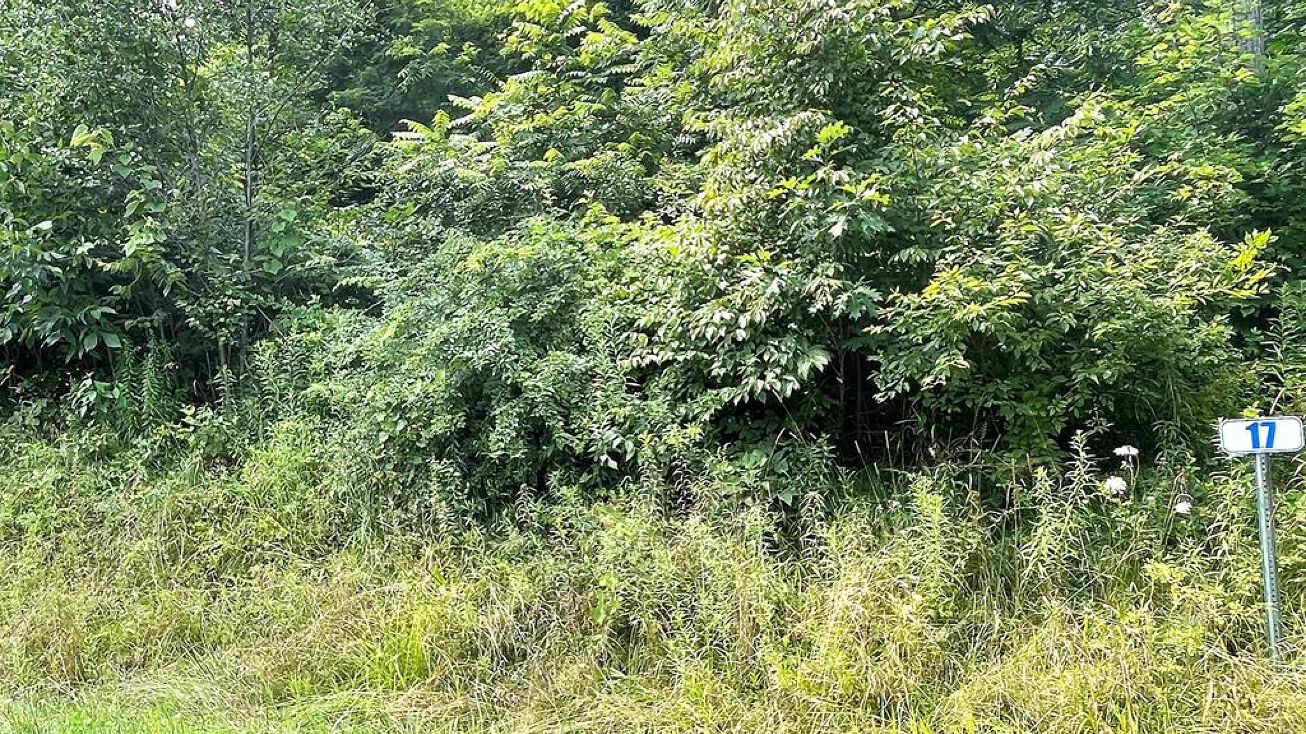 Lot 17 Hemlock Hills Rd, Towanda, PA 18848