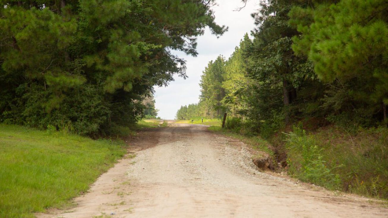 61 Acres Purvis Blvd, Corrigan, TX 75939