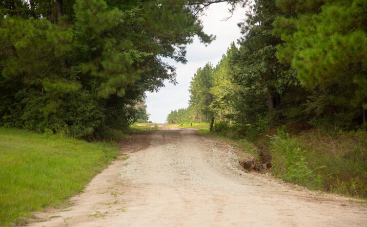 Pictures of Land property located at 61 Acres Purvis Blvd, Corrigan, TX 75939 for sales - image #1