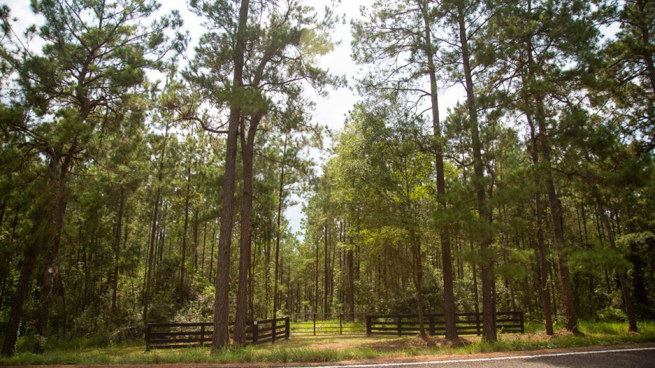 100 Acres FM 352, Corrigan, TX 75939 Land for Sale 100 Acres T11