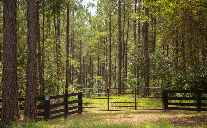 Pictures of Land property located at 61 Acres FM 352, Corrigan, TX 75939 for sales - image #1