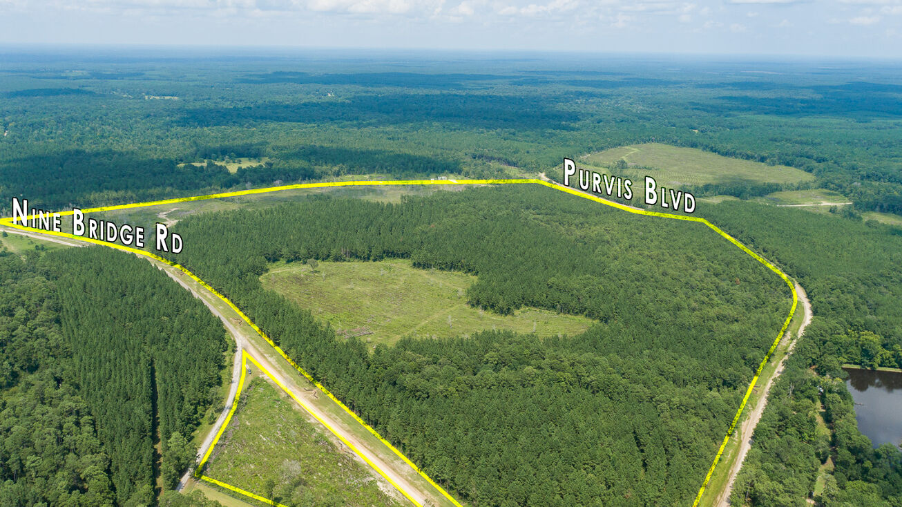 4 Acres Purvis Blvd, Corrigan, TX 75939 Land for Sale 4 Acres