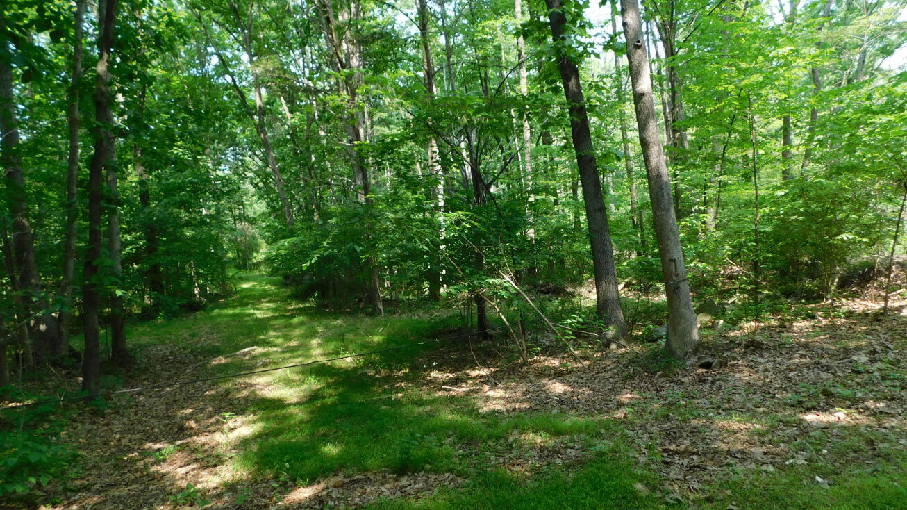 Fancy Hill Rd, Boyertown, PA 19512