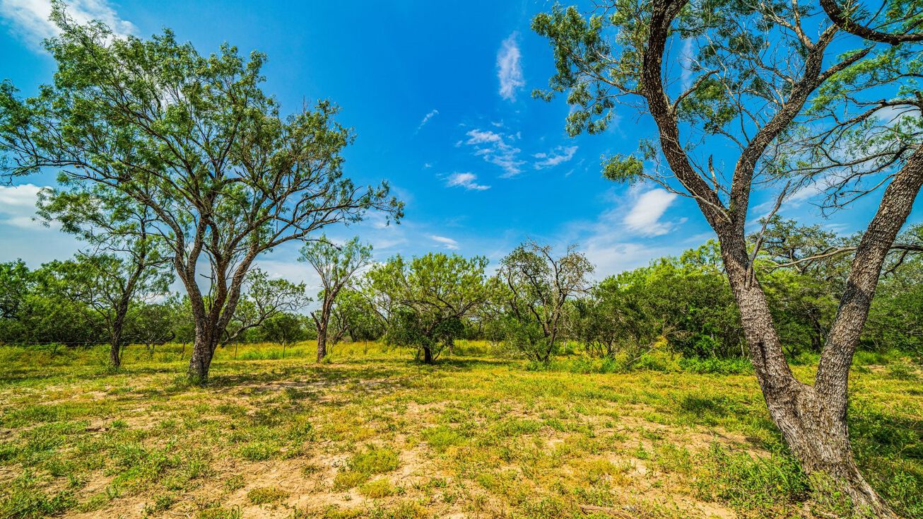 000 Hwy 173, Devine, TX 78005