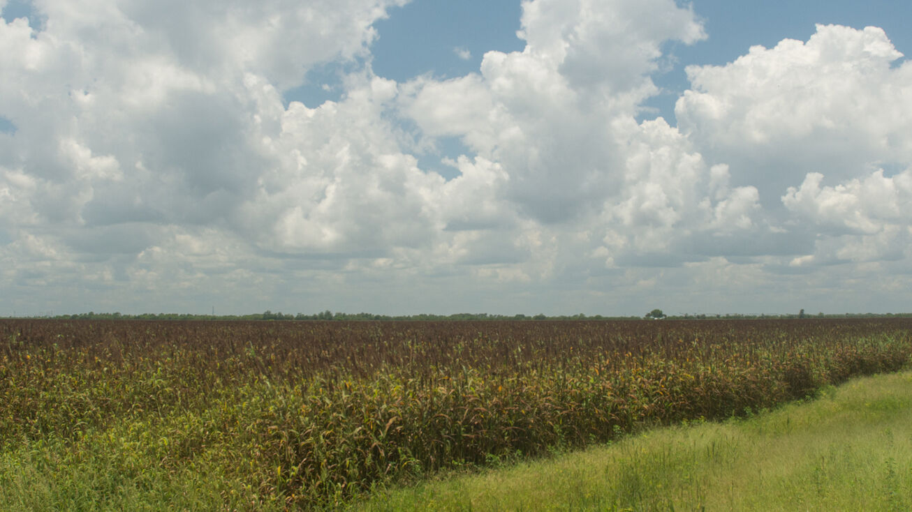 15792 9th St SW, Vero Beach, FL 32968 Land for Sale Section 21