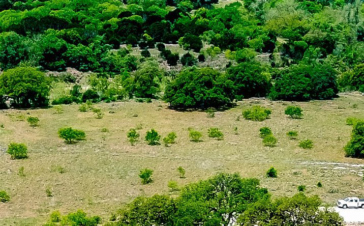 Pictures of Land property located at Martingale trail, Bandera, TX 78839 for sales - image #1