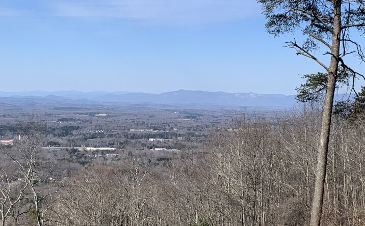 Pictures of Land property located at 961 Altamont Rd, Greenville, SC 29609 for sales - image #1