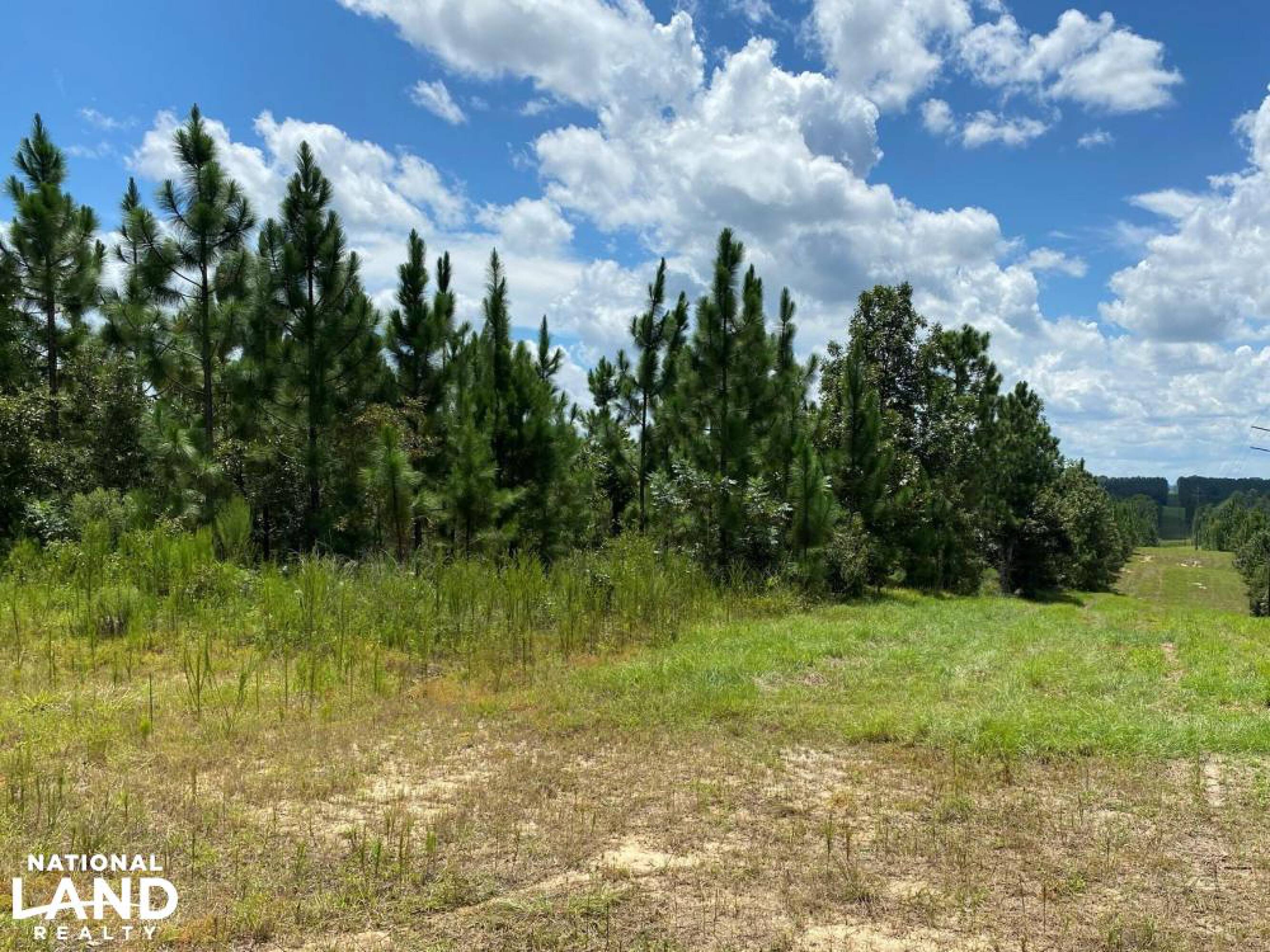 320 PURVIS ST Purvis MS 39475 APN 04112001002