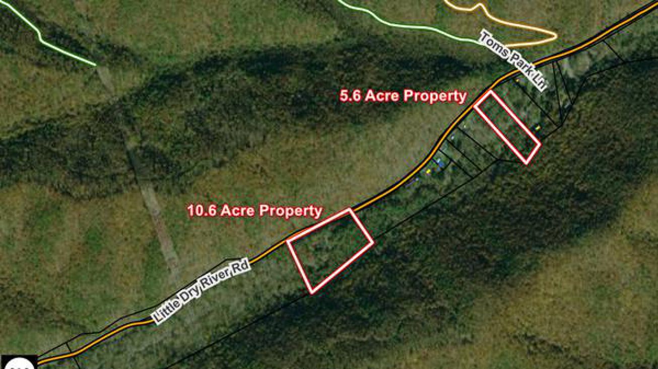 19167 Little Dry River Rd, Fulks Run, VA 22830 Land for Sale