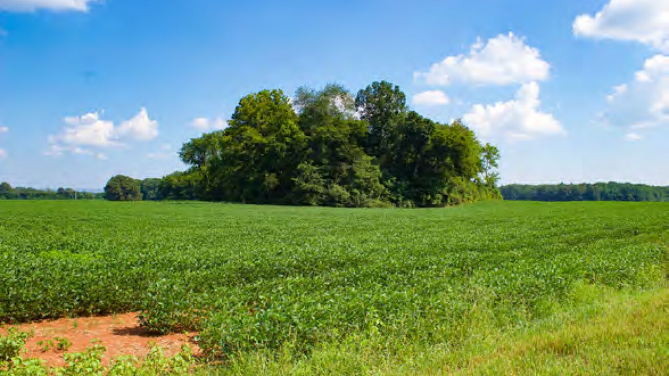 Joe Quick Rd. & Jimmy Fisk Rd, Hazel Green, AL 35750