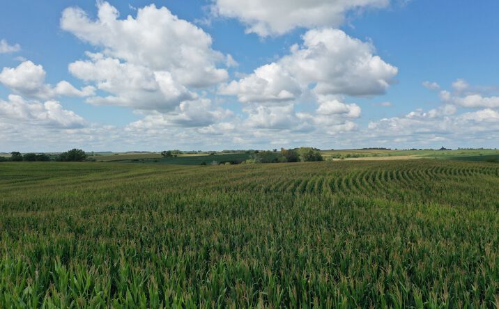 Pictures of Land property located at 2200 C Rd, Syracuse, NE 68446 for comps - image #1