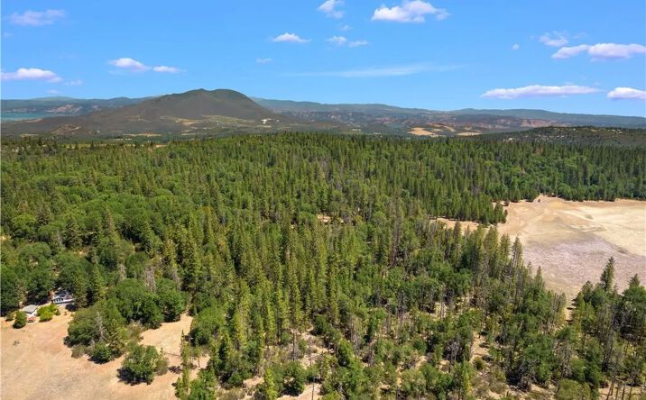 Pictures of Land property located at 6736 Harrington Flat, Loch Lomond, CA 95461 for sales - image #1