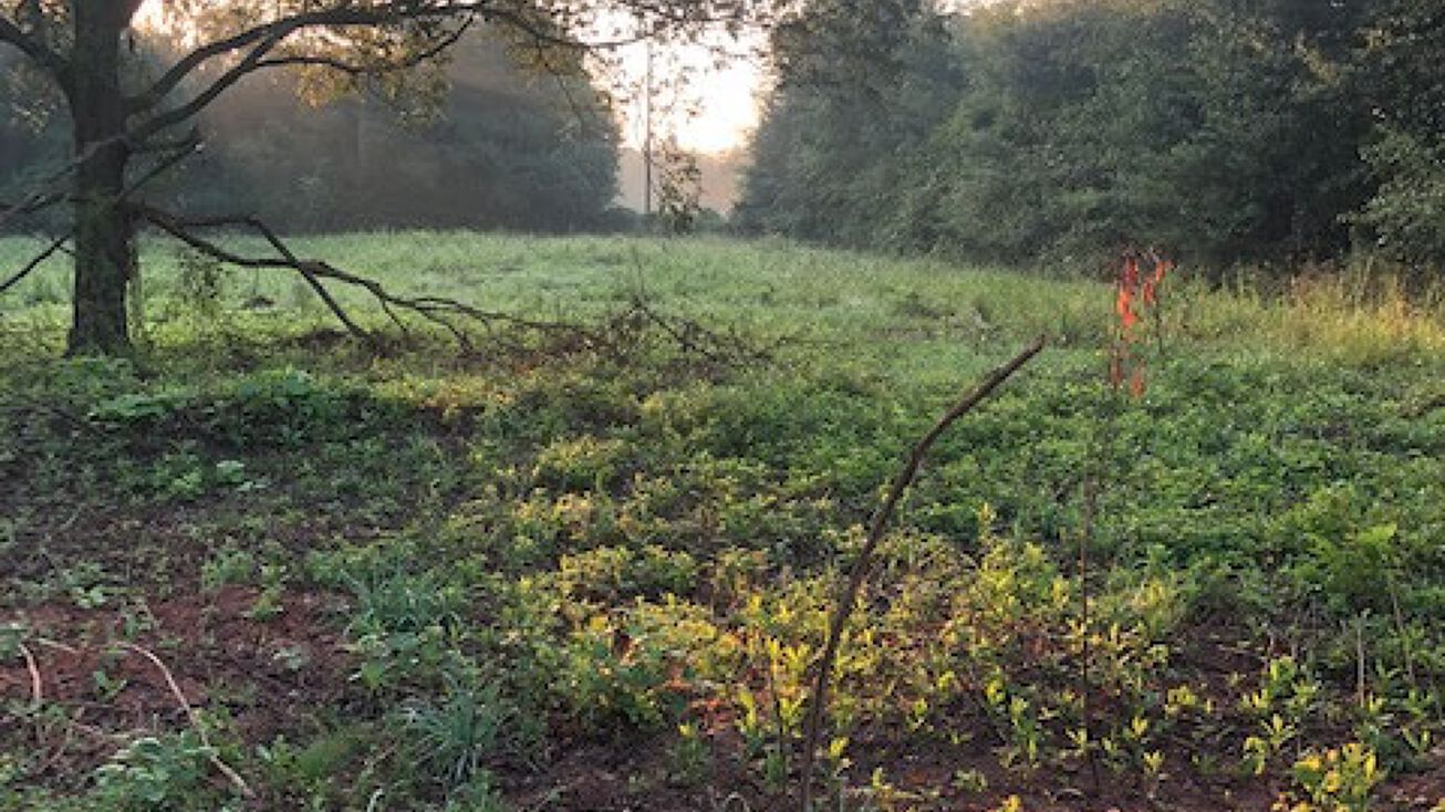 1905 Brickyard Rd, Bowdon, GA 30108 Land for Sale 1905 Brickyard Rd