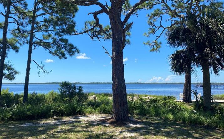 Pictures of Land property located at Top Sail Way Rd Lot 22, Panacea, FL 32346 for sales - image #1