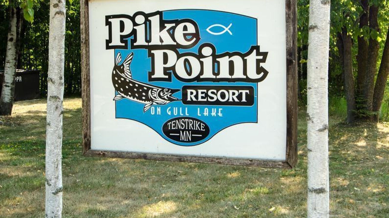 10393 S Gull Lake Road NE, Tenstrike, MN 56683 Special Purpose