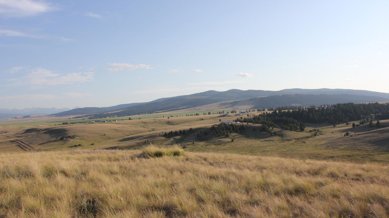 Lot 4 Homestead Lane, Philipsburg, MT 59858 | Crexi.com