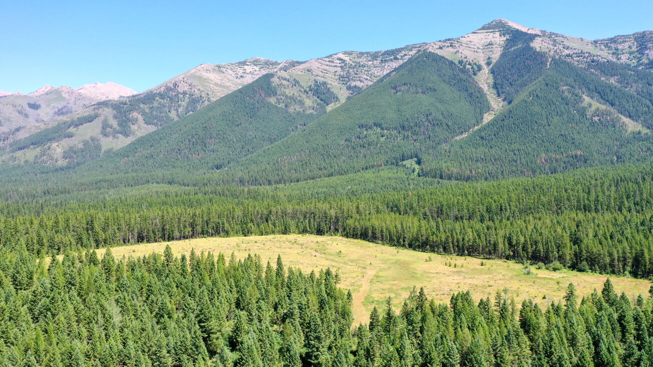 Nhn Barber Creek Road, Condon, MT 59826