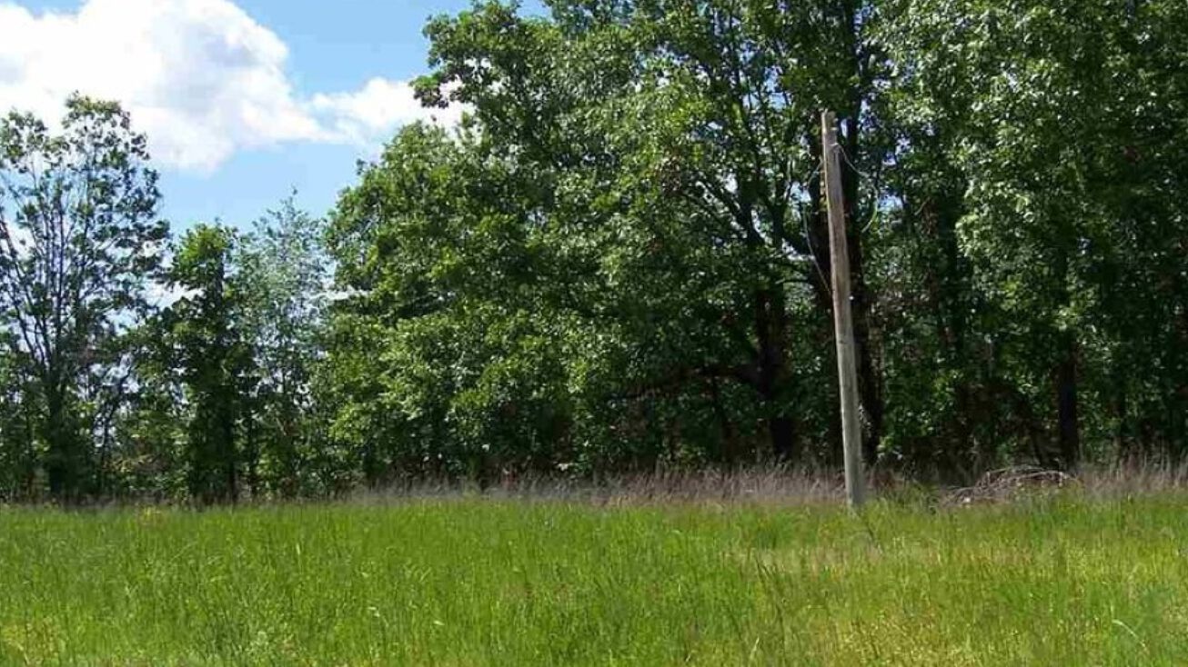 4381 Essary Springs Rd, Pocahontas, TN 38061