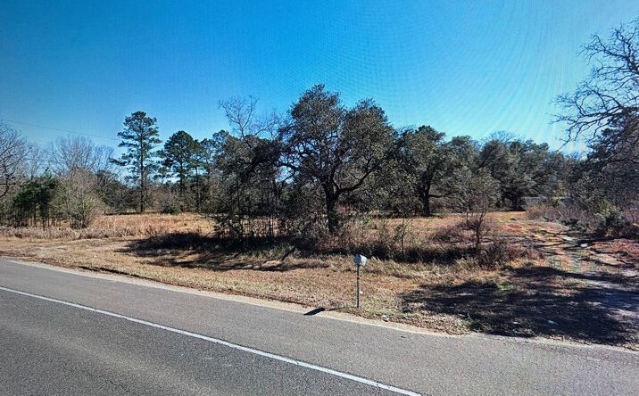 Pictures of Land property located at 16944 Florida Blvd, Holden, LA 70744 for sales - image #1