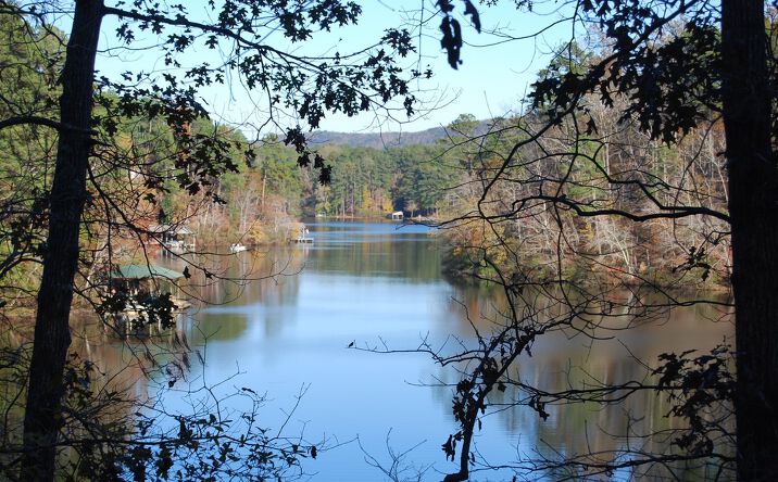 Pictures of Land property located at Smyer Lake, Leeds, AL 35094 for sales - image #1