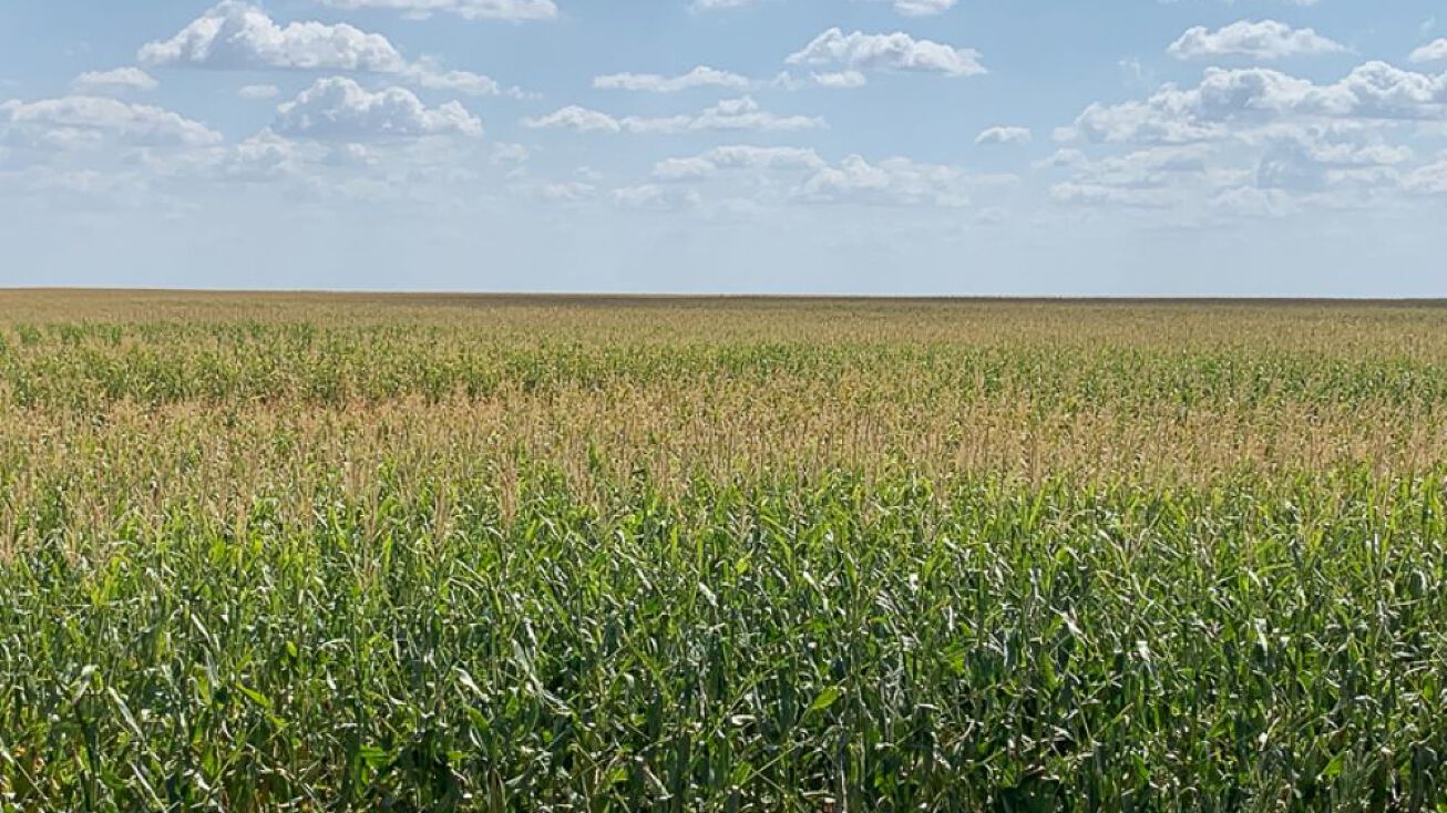 Township 17 South, Range 27 West, Dighton, KS 67839