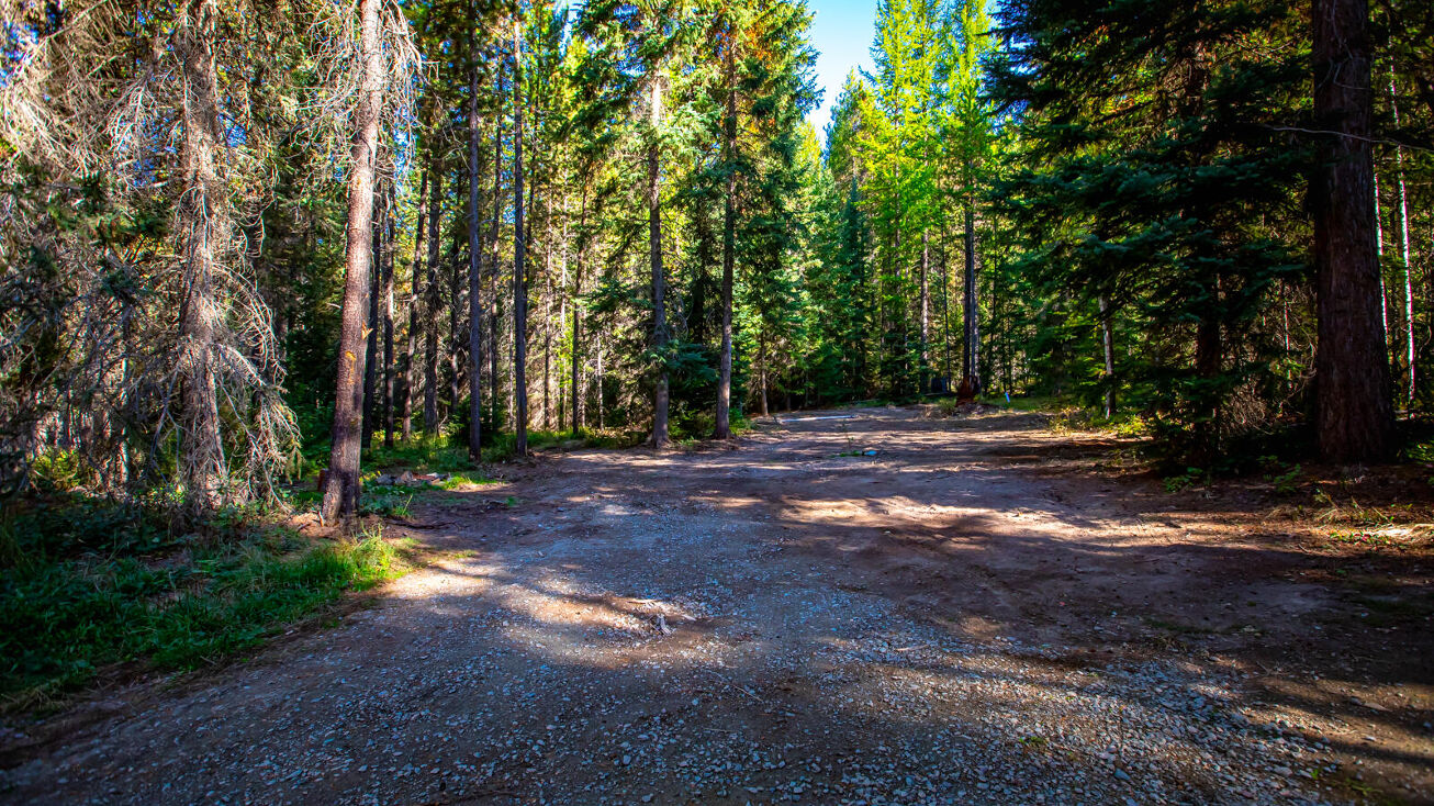 125 White Bird Trail, Olney, MT 59927