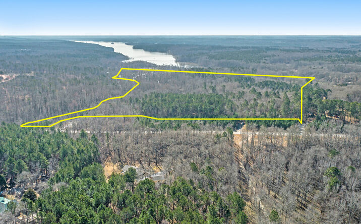 Pictures of Land property located at 0 Hampton Locust Grove Road, Hampton, GA 30228 for sales - image #1