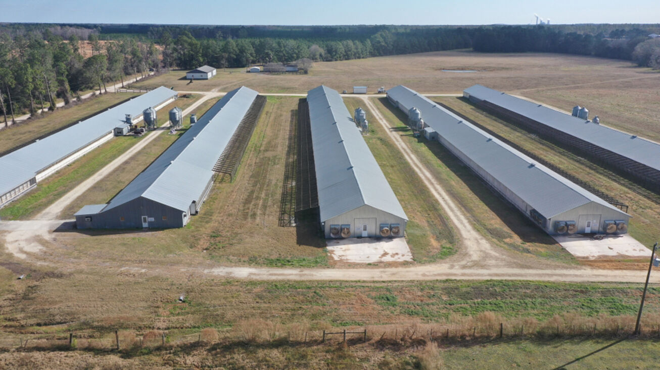 1251 Bardin Rd, Palatka, FL 32177 Land for Sale Bardin Poultry Farm