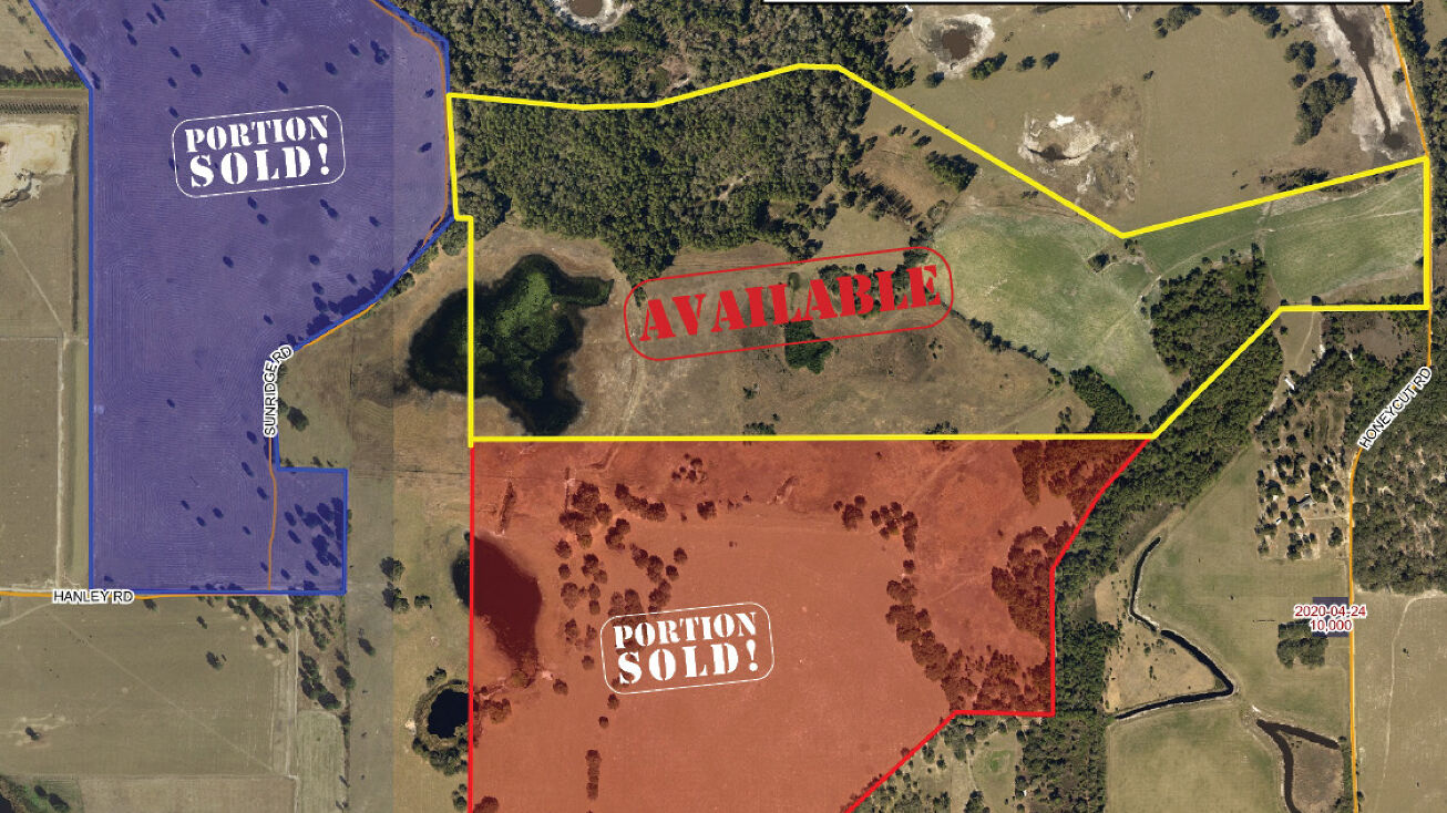 Honeycut Rd, Mascotte, FL 34736