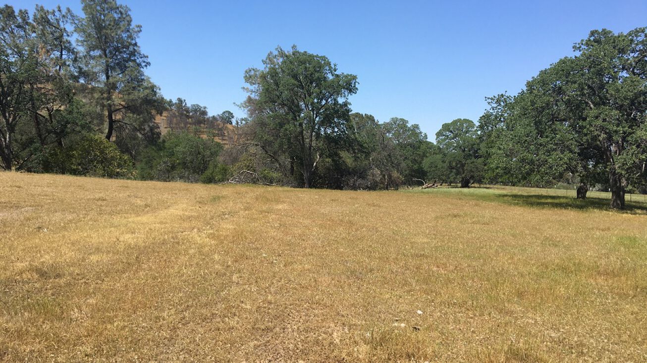 Off County Road 23 near Esparto, Esparto, CA 95627