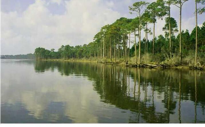 Pictures of Land property located at Allanton Rd, Callaway, FL 32404 for sales - image #1