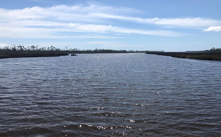 Pictures of Land property located at Laura Bluff Rd, Panama City, FL 32404 for sales - image #1