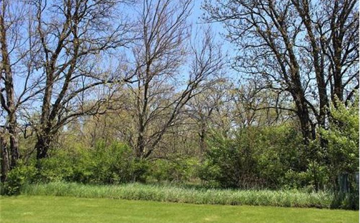 Pictures of Land property located at Lot 18 Masters Dr, Morrison, IL 61270 for sales - image #1