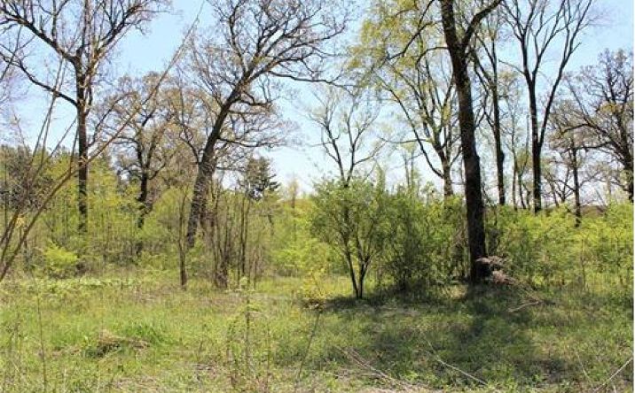 Pictures of Land property located at Lot 20 Masters Drive, Morrison, IL 61270 for sales - image #1