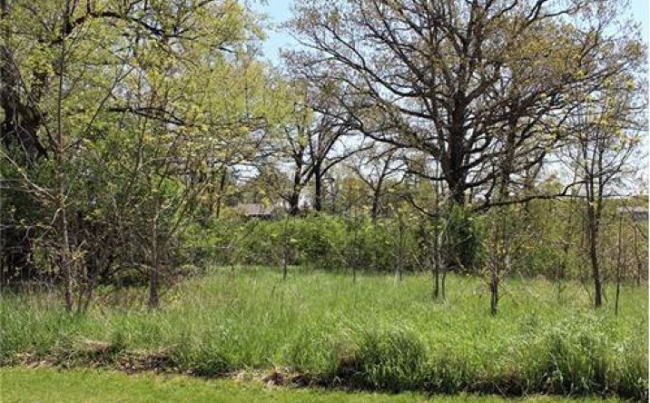 Pictures of Land property located at Lot 21 Masters Drive, Morrison, IL 61270 for sales - image #1