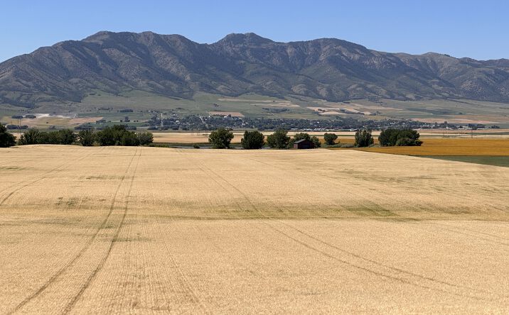 Pictures of Land property located at 10200 N 5800 W, Trenton, UT 84338 for sales - image #1
