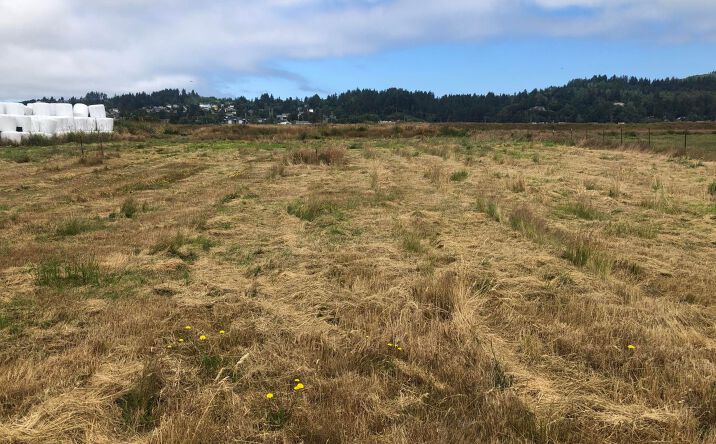 Pictures of Land property located at 92621 Wireless Rd, Astoria, OR 97103 for sales - image #1