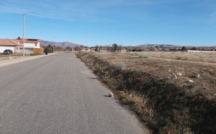 Pictures of Land property located at Pinon St, Tehachapi, CA 93561 for sales - image #1
