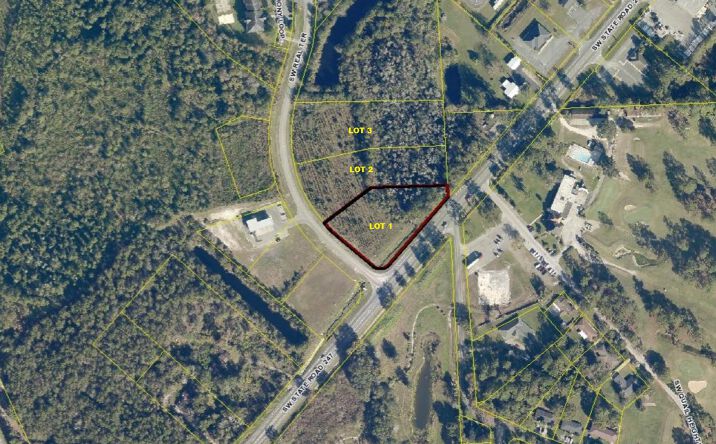 Pictures of Land property located at NW Real Terrace/SR-247, Lake City, FL 32055 for sales - image #1