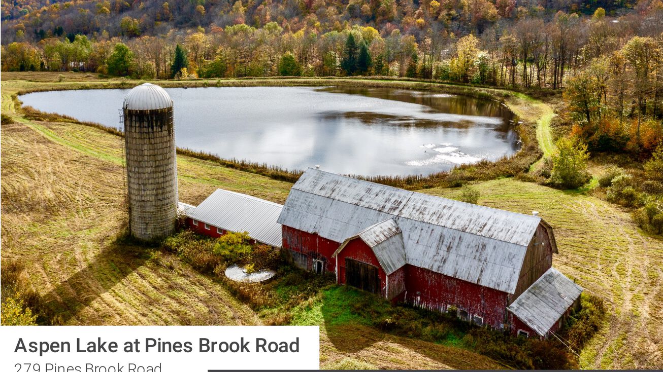 Pines Brook Rd, Walton, NY 13856