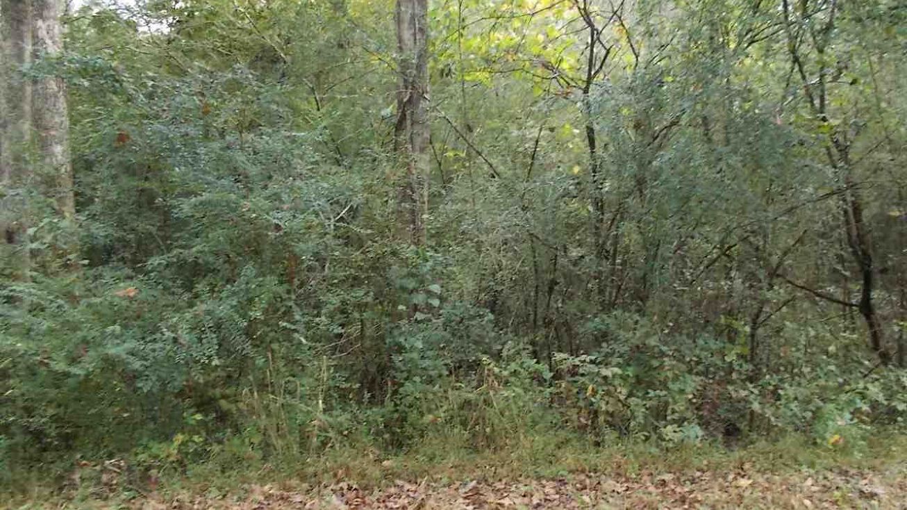 4017 Graham Dr, Forestdale, AL 35214