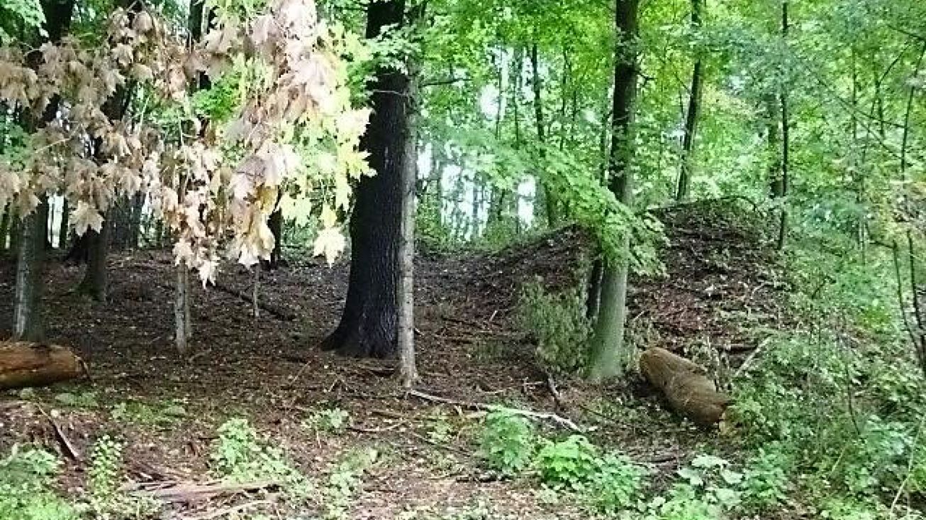 East St, Lee, MA 01238