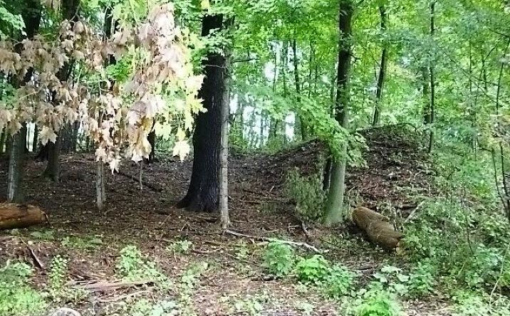 Pictures of Land property located at East St, Lee, MA 01238 for sales - image #1