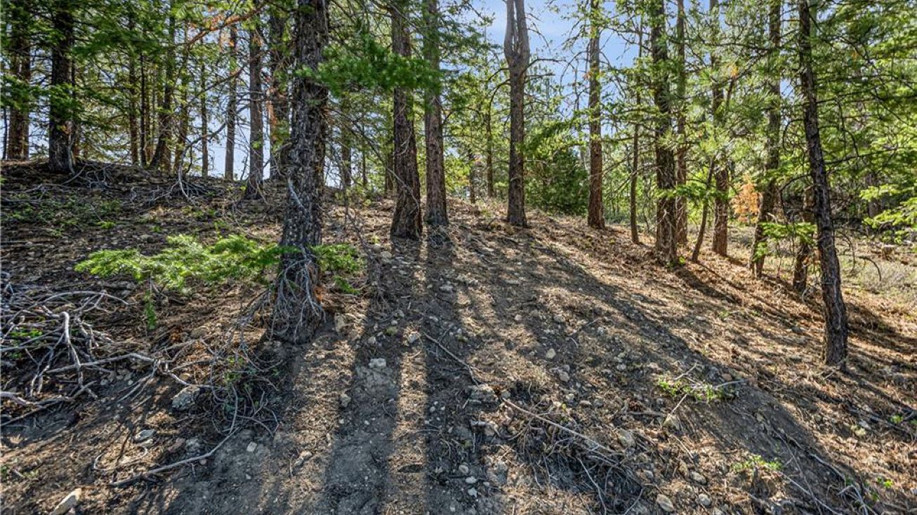 54 Royal Drive, Alton, UT 84710