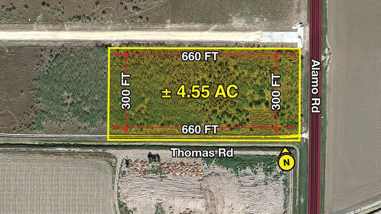 2347 S Alamo Rd, Alamo, TX 78516